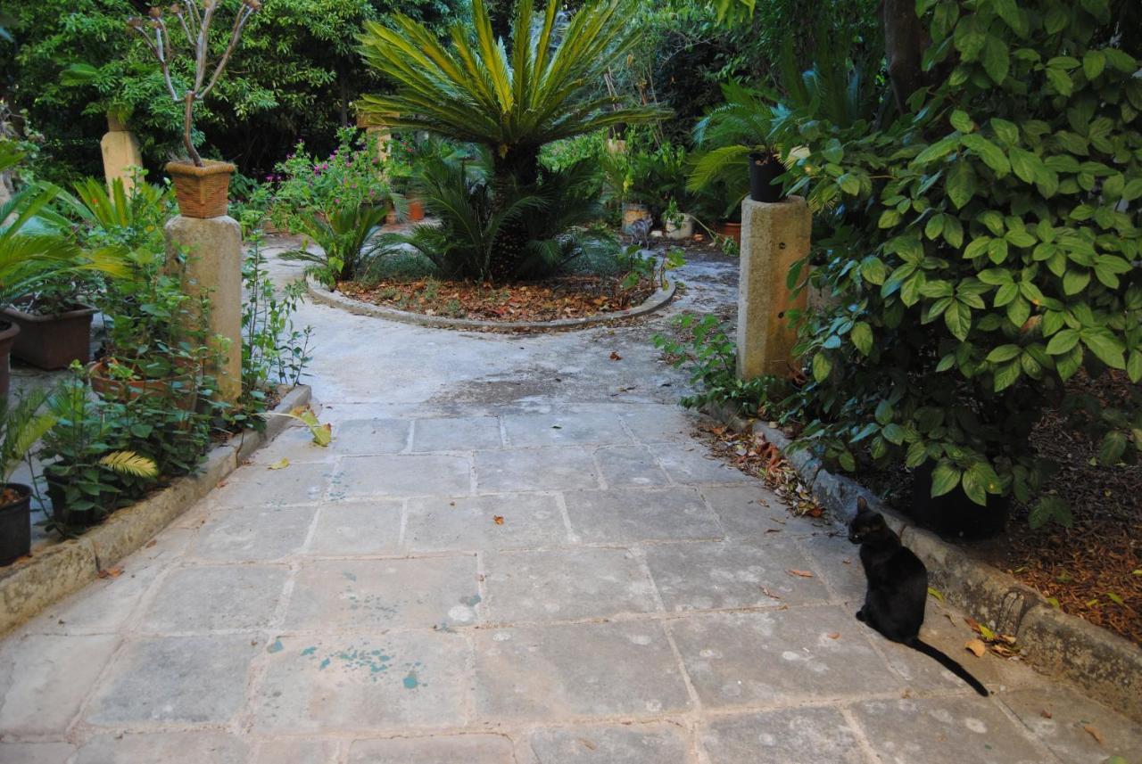 Aricelle Speziali Bed and Breakfast Specchia Gallone Εξωτερικό φωτογραφία