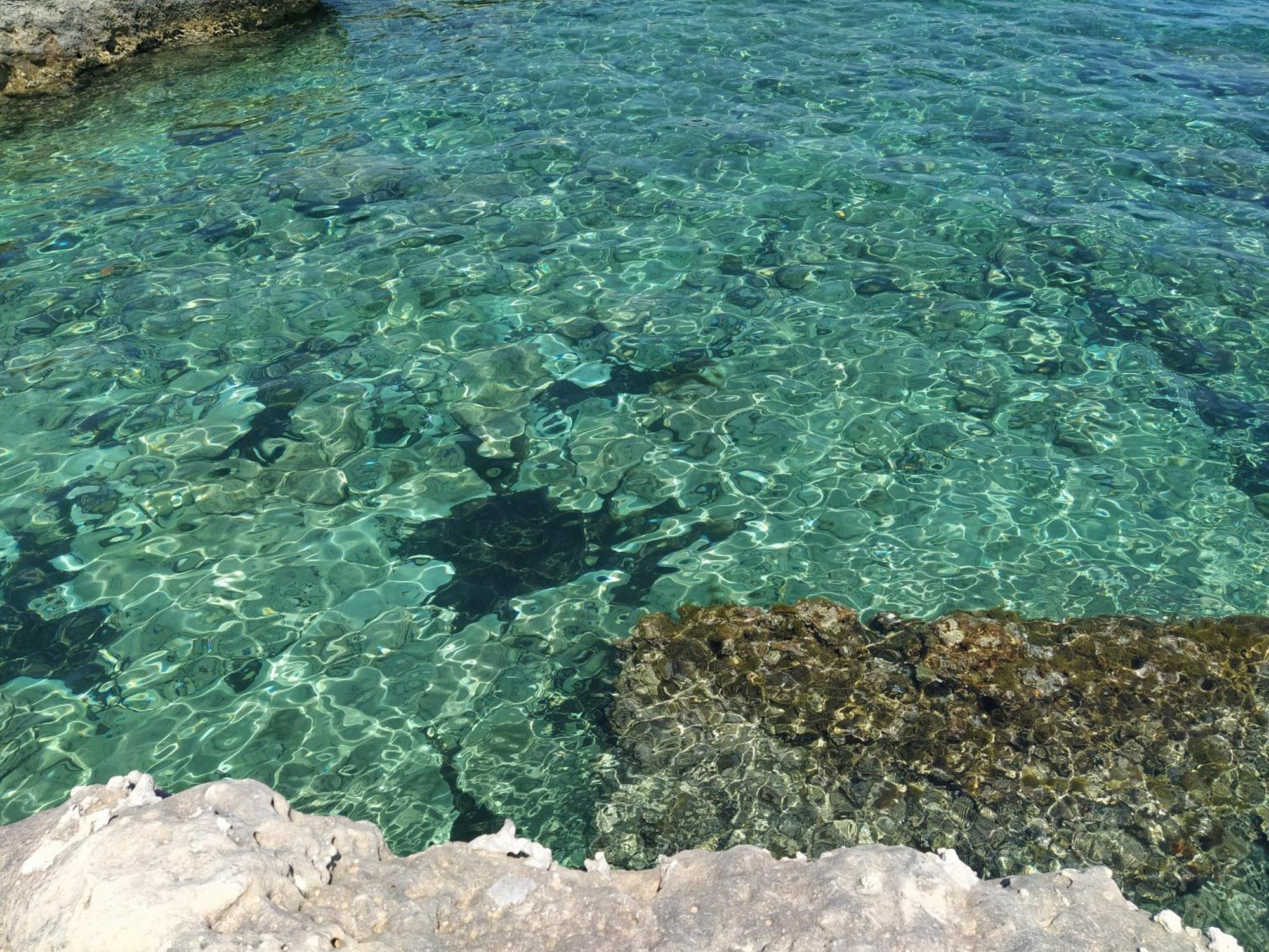 Aricelle Speziali Bed and Breakfast Specchia Gallone Εξωτερικό φωτογραφία