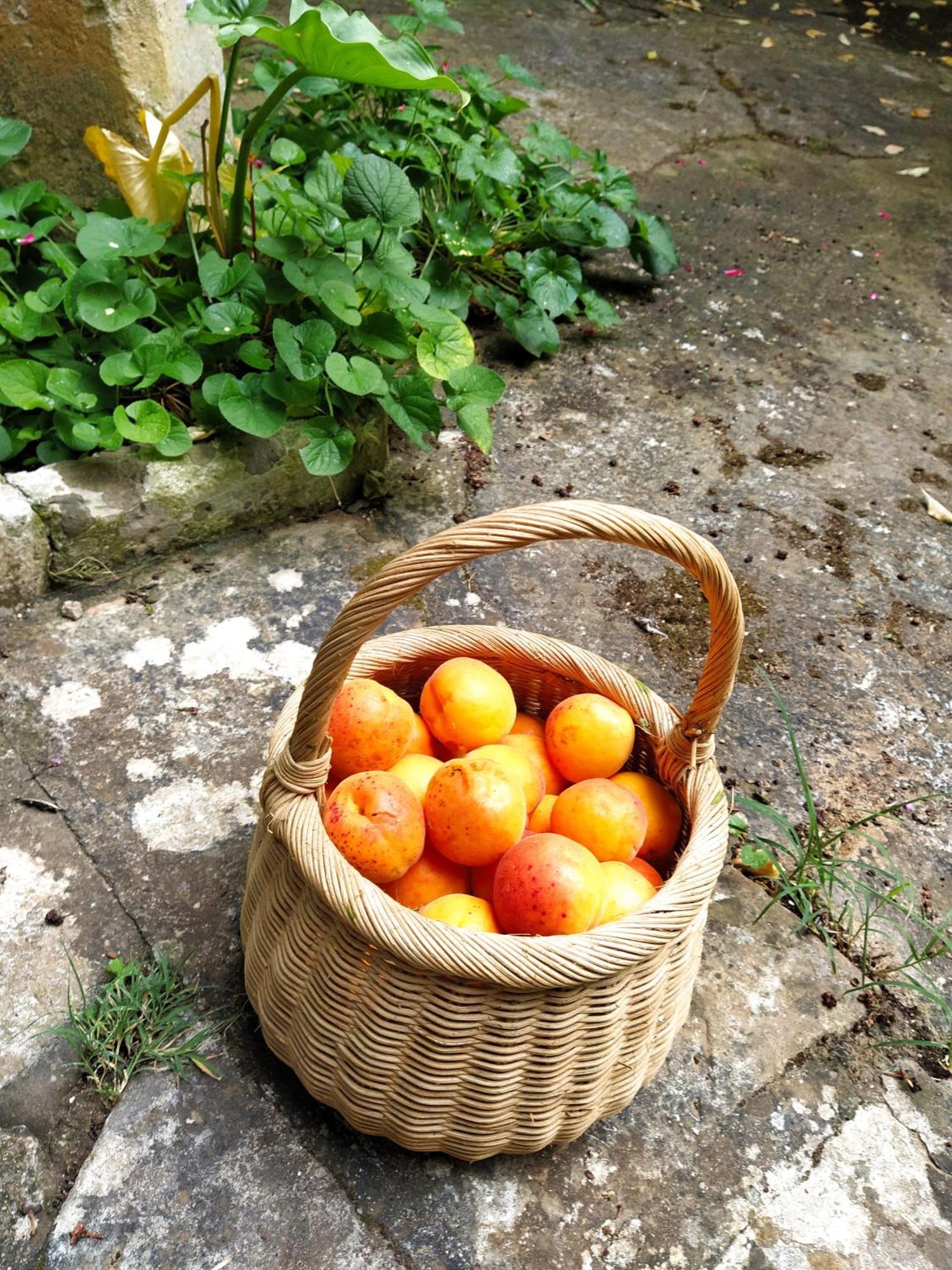 Aricelle Speziali Bed and Breakfast Specchia Gallone Εξωτερικό φωτογραφία