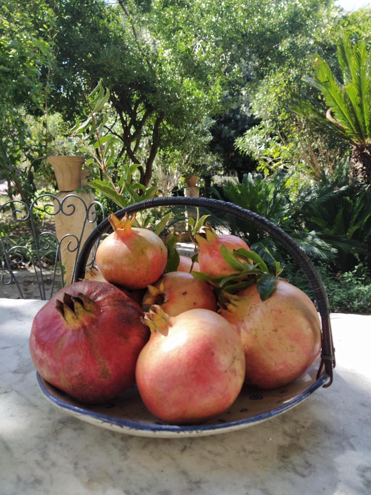 Aricelle Speziali Bed and Breakfast Specchia Gallone Εξωτερικό φωτογραφία